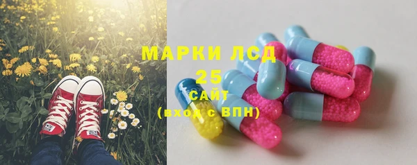спайс Алзамай
