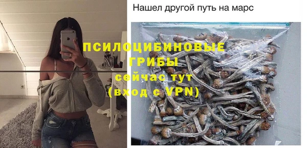 спайс Алзамай