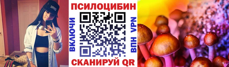 Псилоцибиновые грибы Cubensis  Вихоревка 